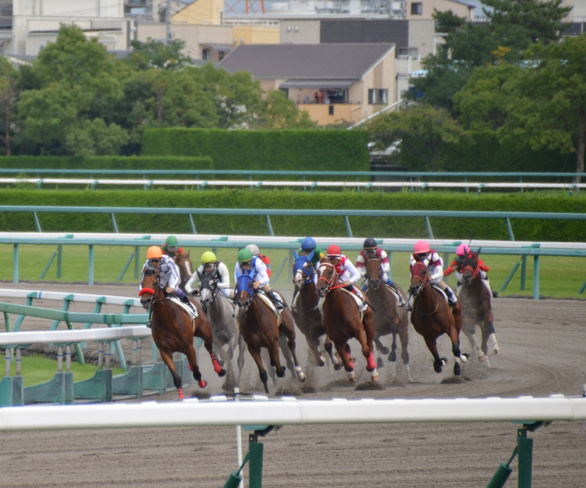 競馬開発